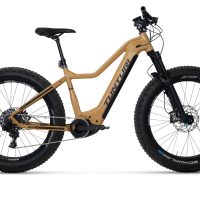 eMAX20EBF600.jpg